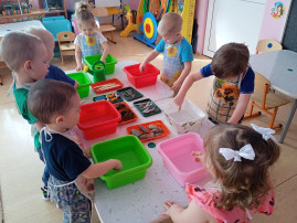 Игры с водой «Тонет — не тонет» гр. «Одуванчики» Игры с водой «Тонет — не тонет» гр. «Одуванчики».